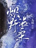 炽野温柔72集全集