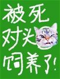 被死对头捡回了家免费阅读