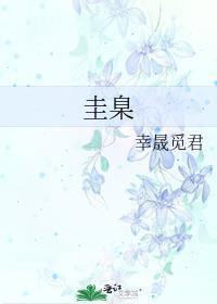 奉为圭臬