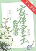 宝玉摔玉的故事