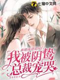 新婚之夜走错了房间的电视剧叫什么名字