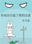 你成功引起了朕的注意攻洁吗