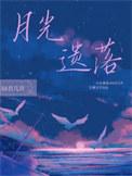 遗落月光什么意思