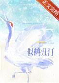 似鹤归汀免费