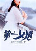 第一女婿刘飞叶青竹免费阅读
