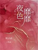书名夜色侵霜