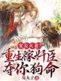 重生宠妾灭妻悔过文