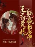 王府贵妾