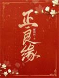 正良缘 txt