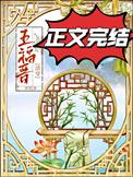 清穿三福晋