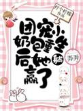 哥哥们的团宠小崽崽苏铭澈