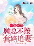 一胎双宝总裁娶妻套路深免费阅读仓鼠