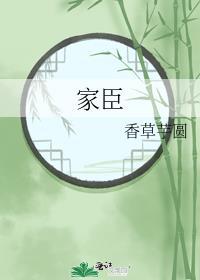 家臣 二氧化钛po笔趣阁