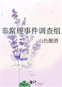 非正常事件调查