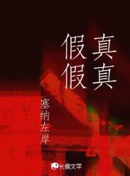 真真假假的文案