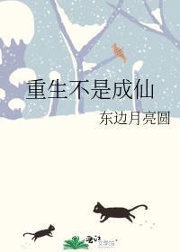 重生不是成仙下册