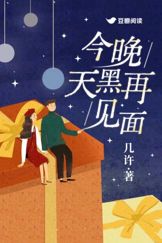 今晚天黑再见面TXT