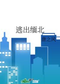 逃出缅北记