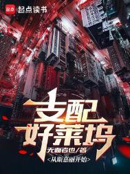支配好莱坞txt