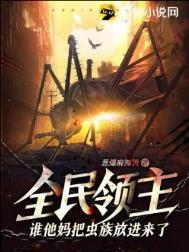 全民领主txt
