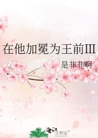 在他加冕为王前是非非啊