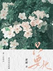 只要她破镜重圆全文阅读