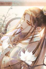 红楼之林家有子 青梅如豆
