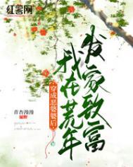 穿越成恶婆婆