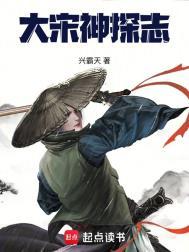 大宋奇案21