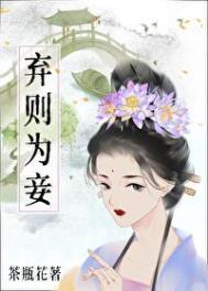 弃则为妾好看吗