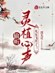 凡女飞升了! 清无尽