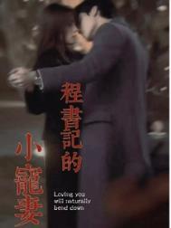 程书记的小宠妻笔趣阁一顾九思 著