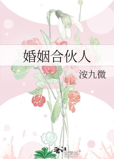 婚姻合伙人女人王