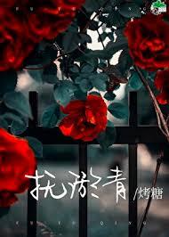 抚淤青第14章