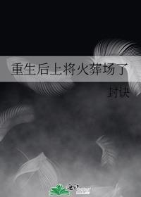 重生后上将火葬场了封诀