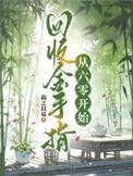 金手指回收系统