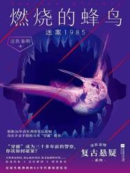 燃烧的山峰第二集