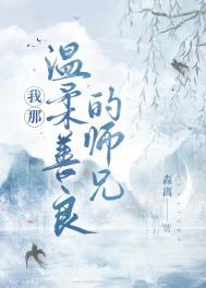 我那温柔善良的师兄讲什么