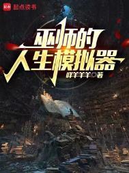 巫师的人生模拟器TXT