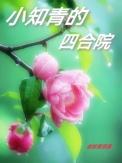 小知青的四合院男主是谁