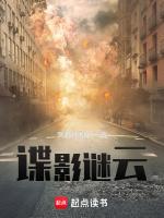 谍影谜云韩霖最高职务
