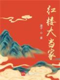 红楼大当家男主结局