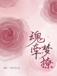 魂牵梦绕在线阅读