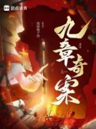九章奇案讲了什么