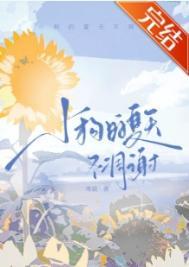 小狗夏天的时候