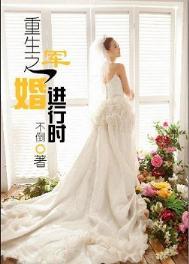 重生之军婚