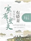 家有傻夫txt