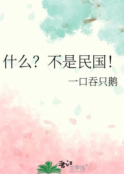 什么?不是民国!齐小川