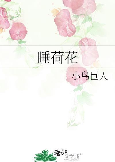 睡荷花 小鸟巨人