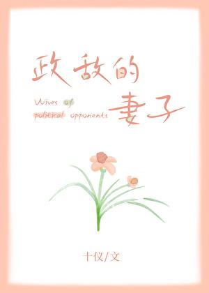 政敌的妻子全文